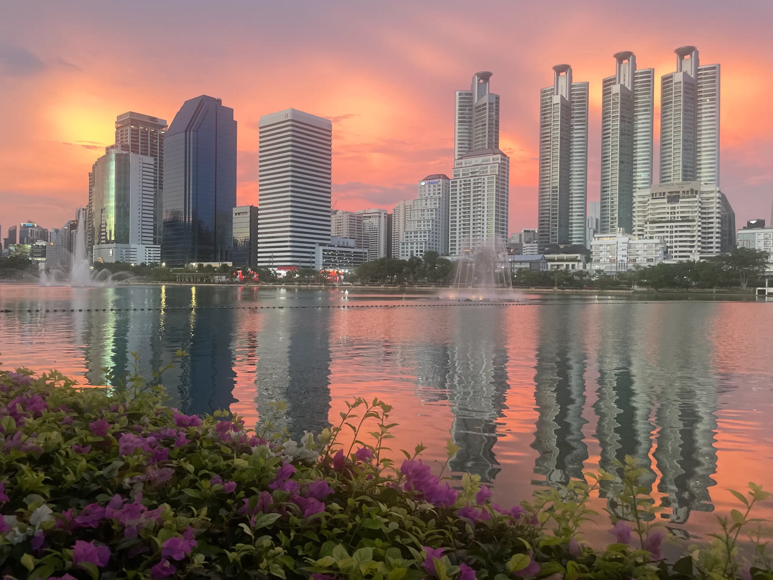 view from the park of benchakitti in bangkok sunset